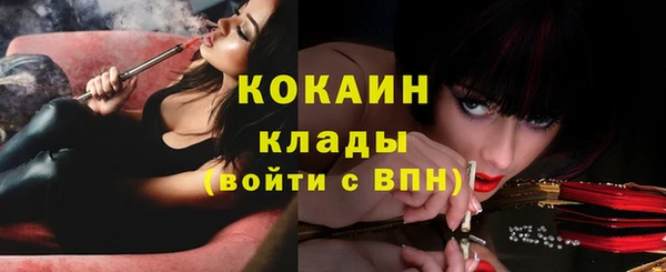 ПСИЛОЦИБИНОВЫЕ ГРИБЫ Кодинск