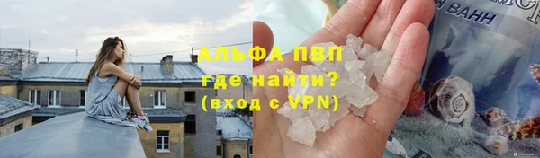 СК Козельск