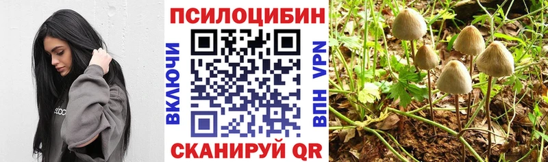 Галлюциногенные грибы ЛСД  Купить  Дюртюли 